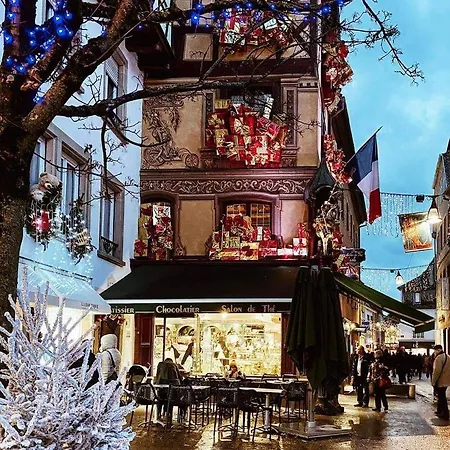 La Tour Des Chevaliers Apartment Sélestat