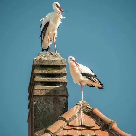 La Tour Des Chevaliers Apartment *